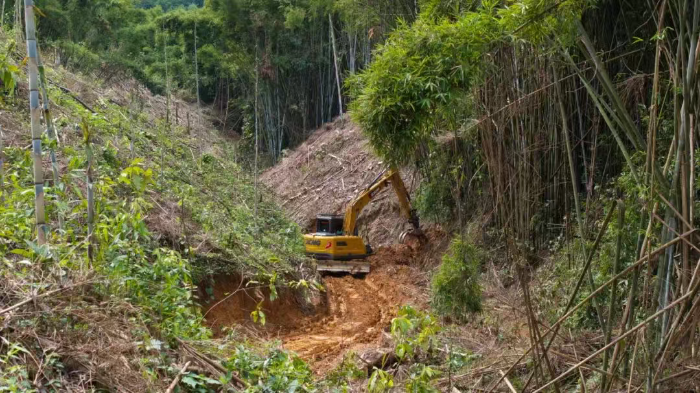 林間“藏龍”，竹?！芭P虎”——徐工林業(yè)挖機(jī)廣西俠客行